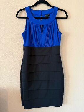 Enfocus Studio Form Fitting Mini Dress